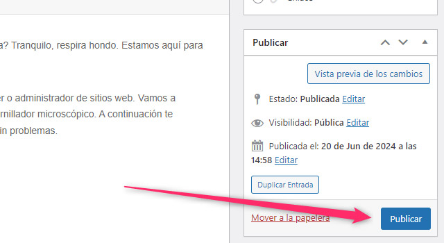 Publicar Entrada WP