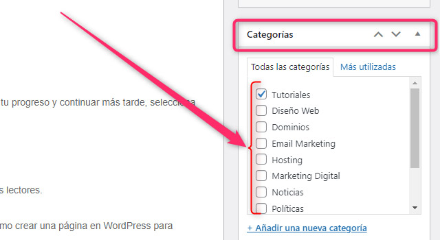 Categorias Entradas WP
