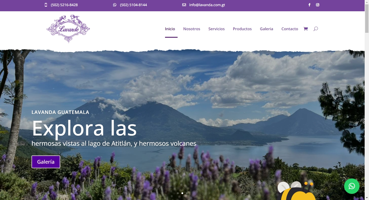 Diseño de sitio web de los campos de lavanda en Atitlán con catálogo en línea