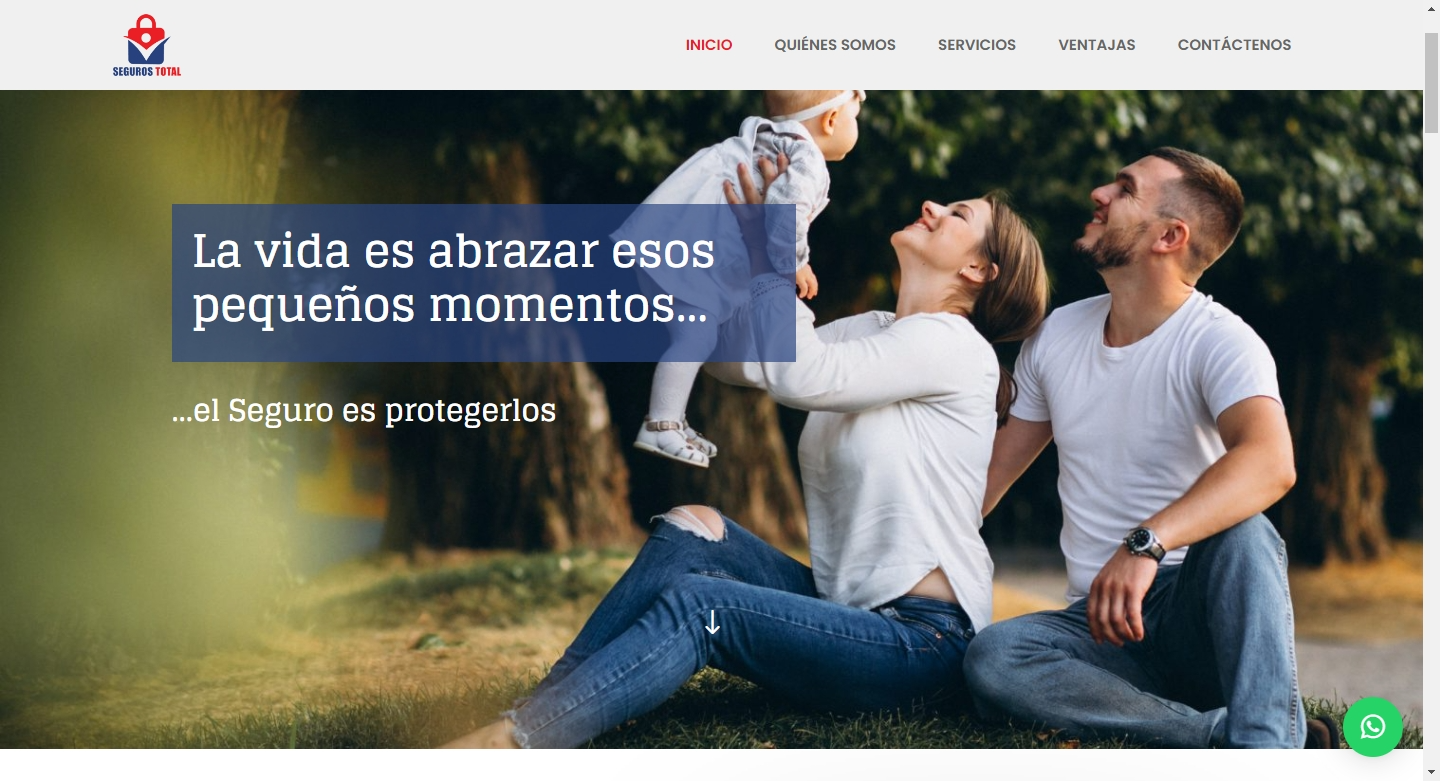 Diseño de sitio web de 1 página de aseguradora Seguros Total